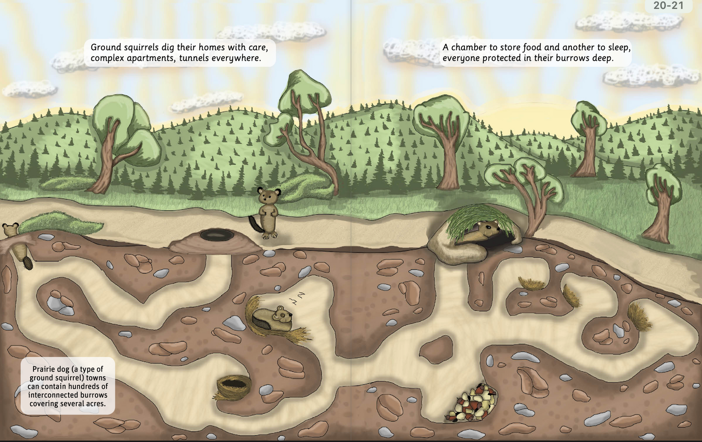 Can You Read Squirrels?