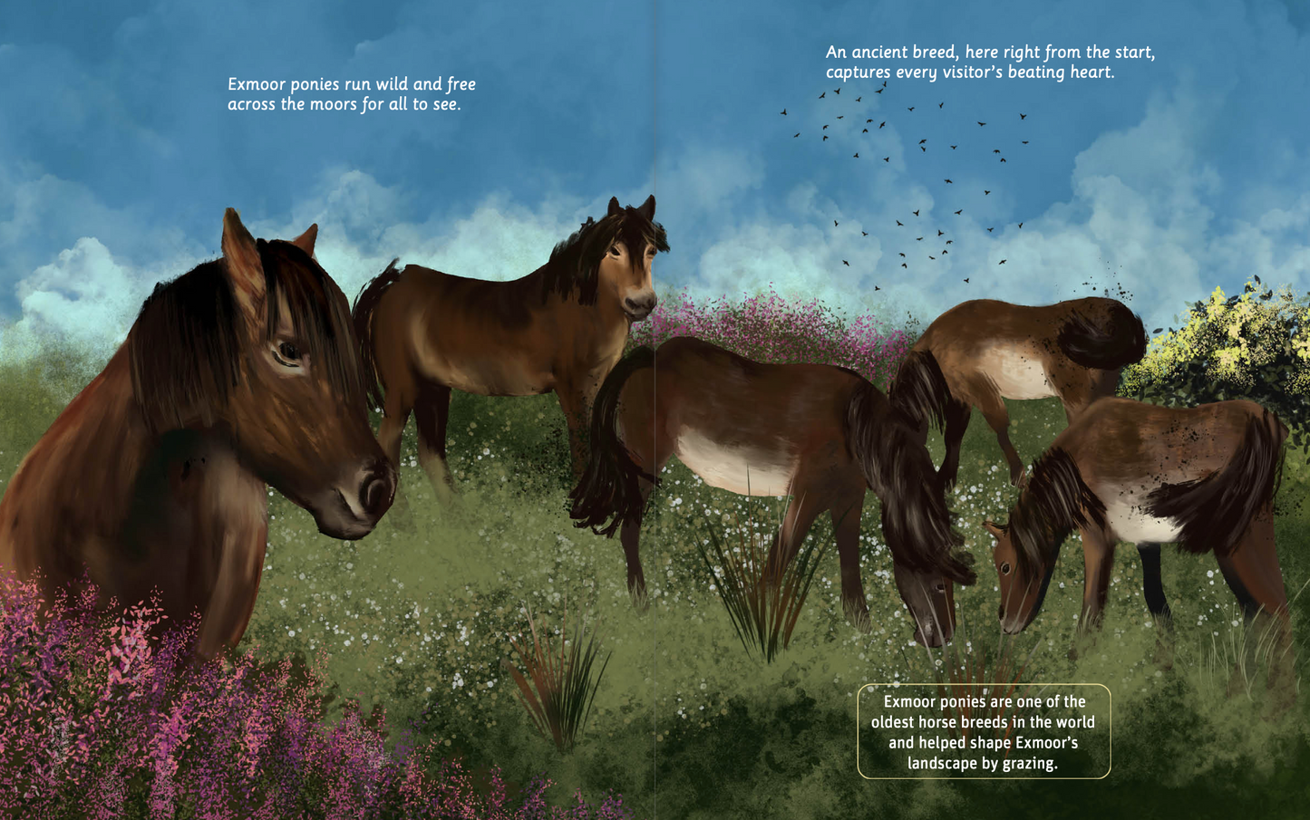 Can You Read Exmoor National Park?
