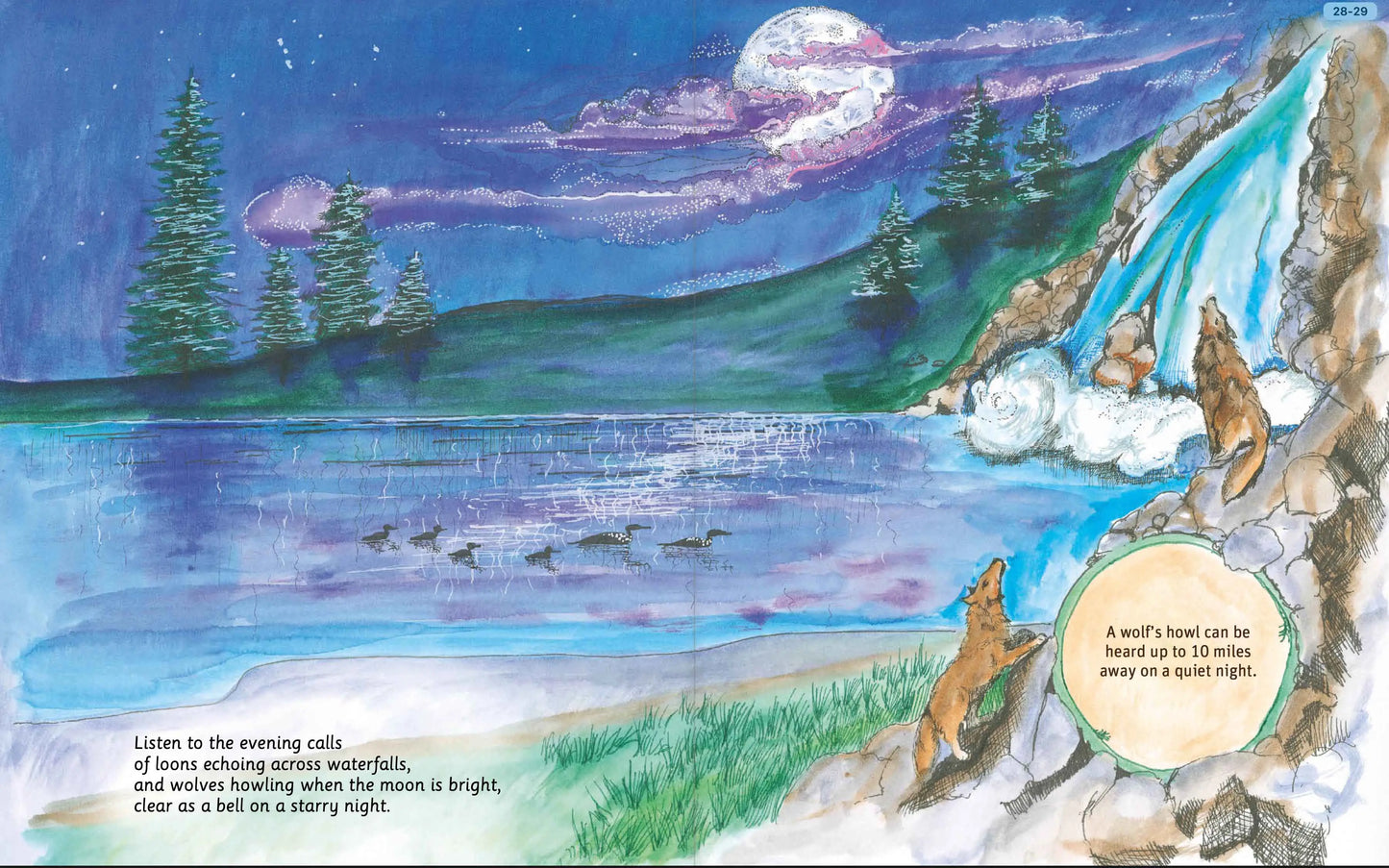 Can You Read North Cascades National Park?
