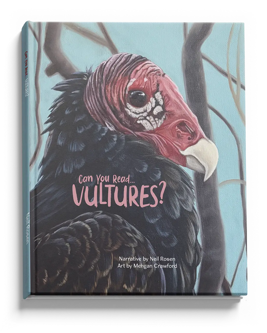 Can You Read Vultures? hardcover