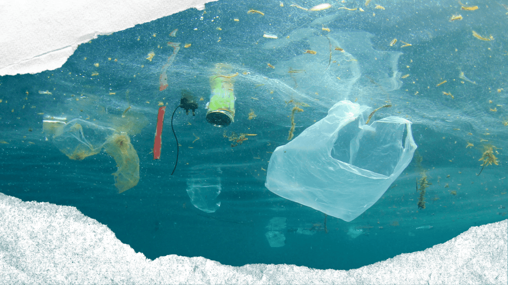 Ocean Pollution Explored through Children’s Books