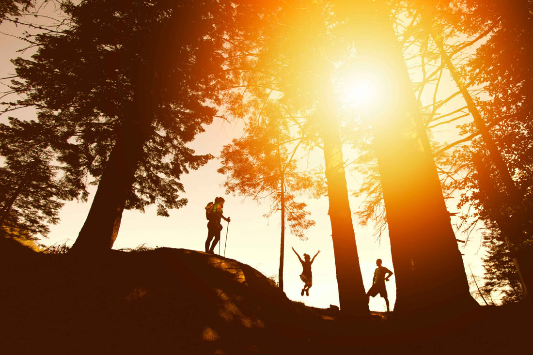 Best National Parks to Visit for Families in 2026