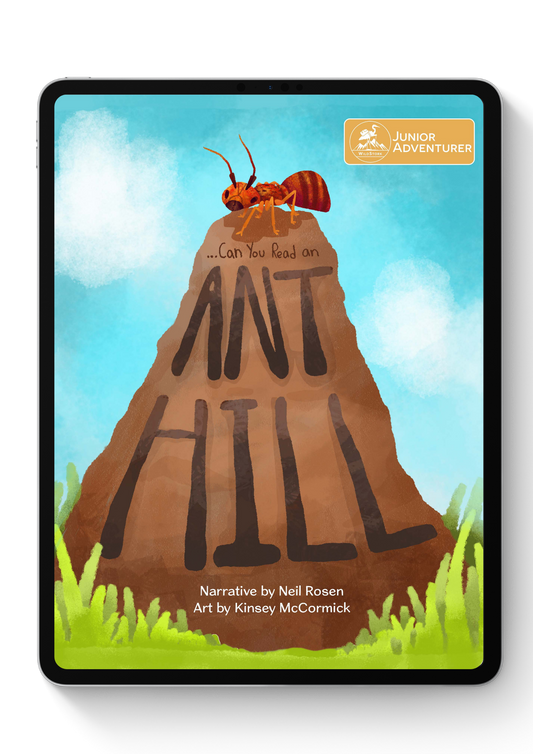 Can You Read an Anthill?
