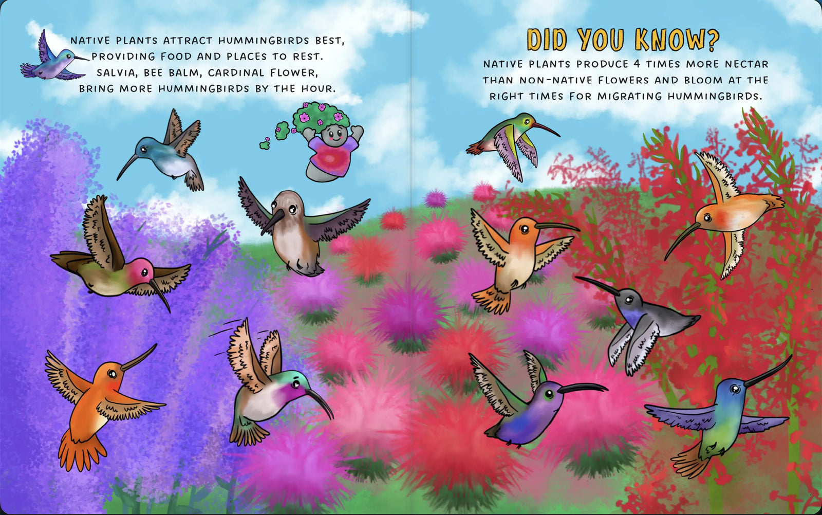 Illustrated hummingbird garden spread