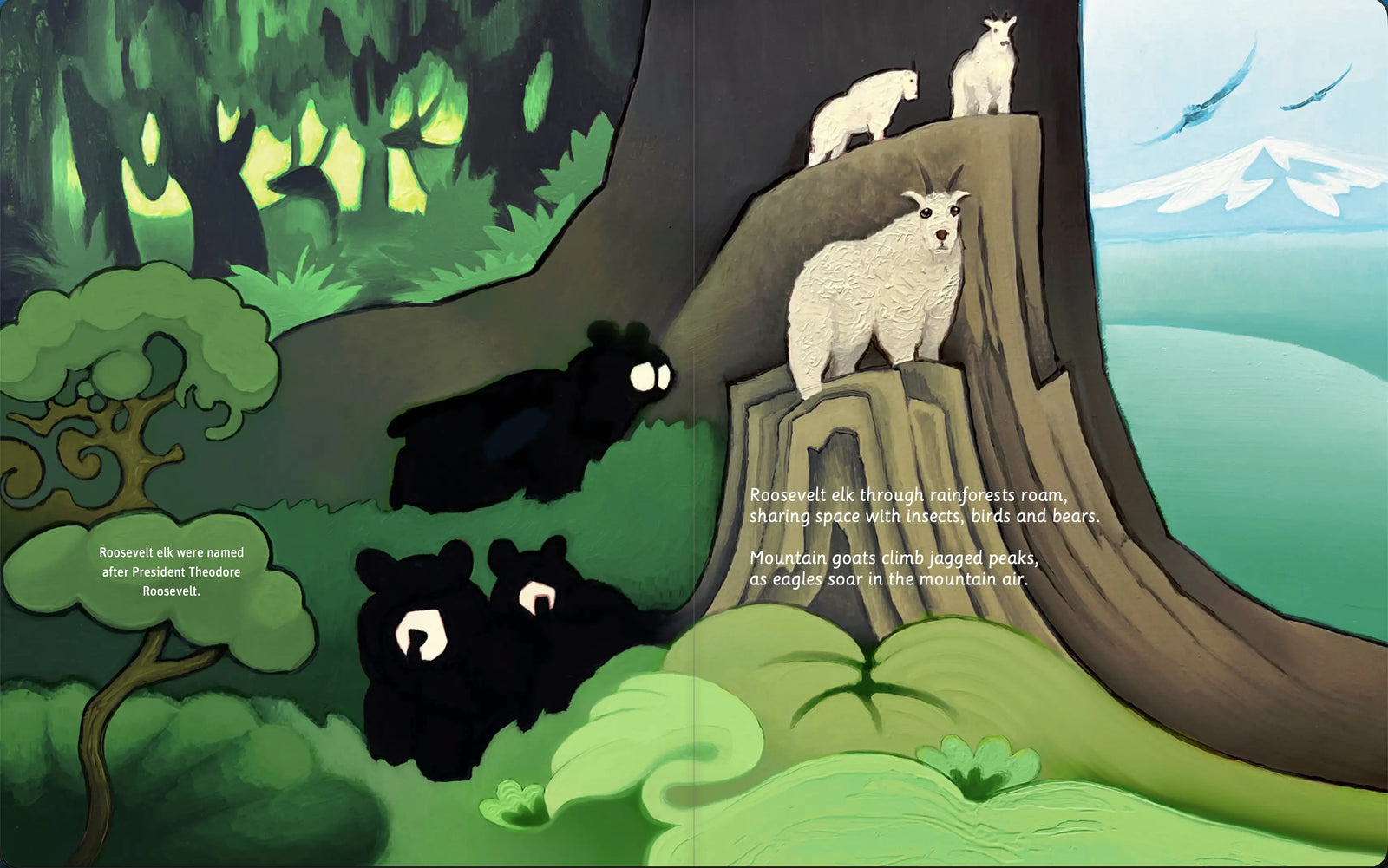 Illustrated Olympic National Park wildlife spread