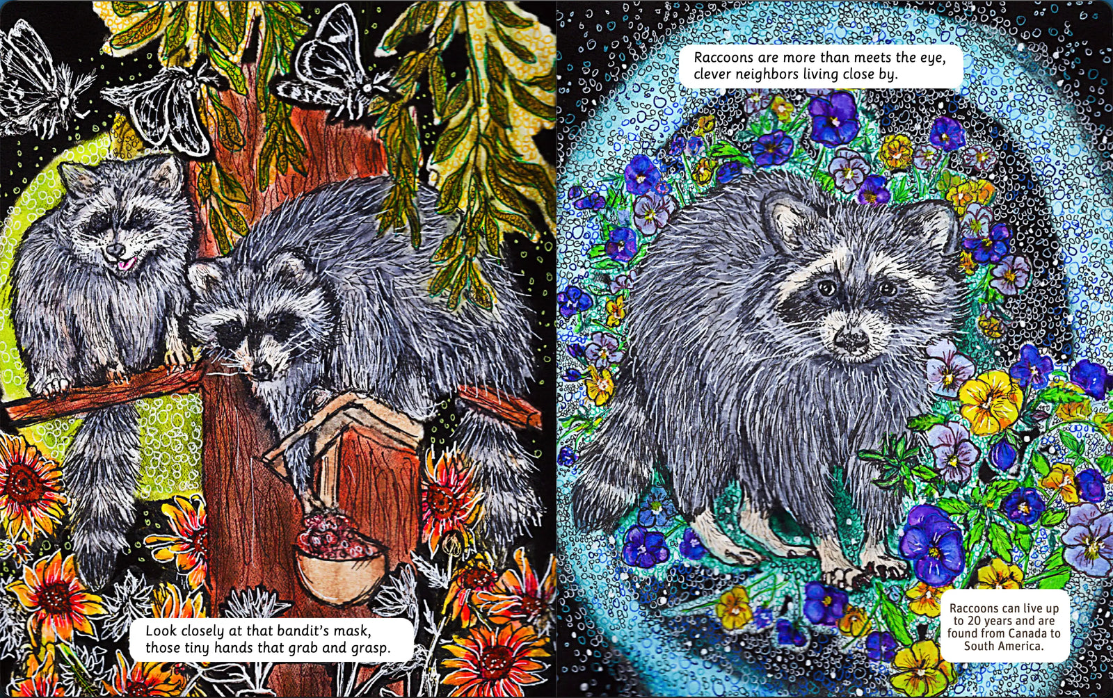 Illustrated raccoon family and woodland spread
