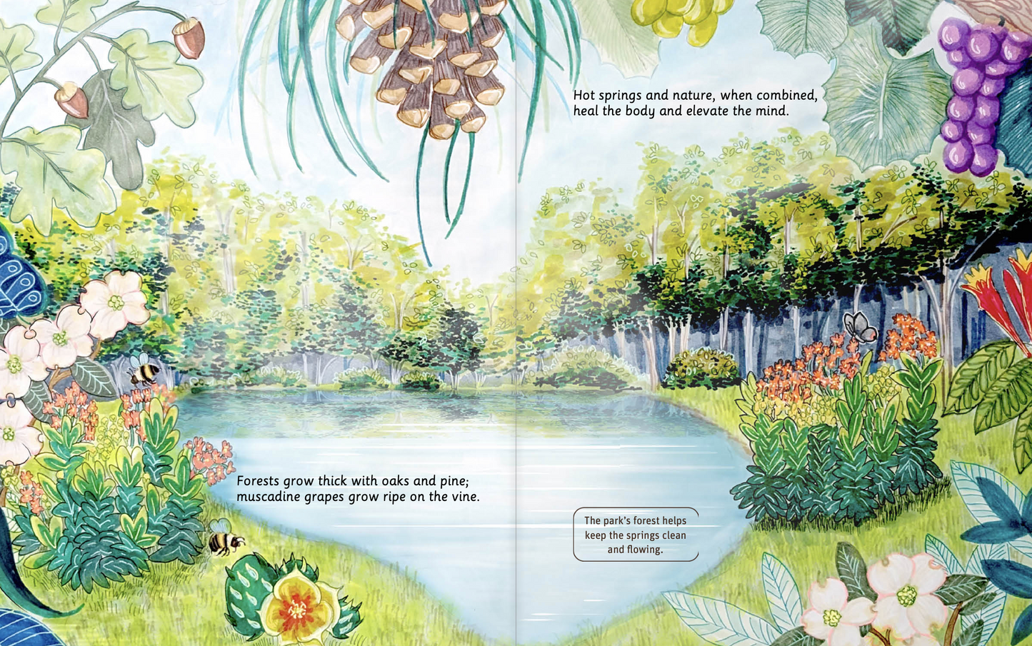 Can You Read Hot Spring National park?