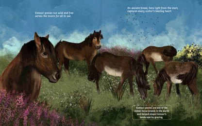 Can You Read Exmoor National Park?