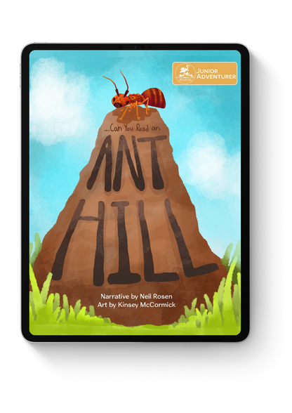 Can You Read An Anthill?
