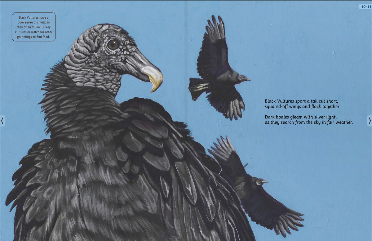 Illustrated vultures feeding, warming their wings, nesting, and protecting a healthy ecosystem