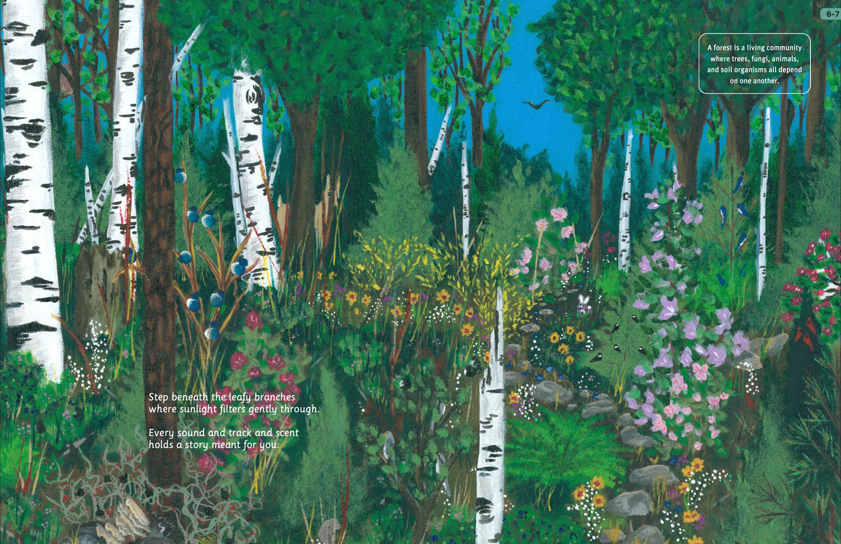 Illustrated woodland canopy, understory, forest floor, trees, fungi, and moss spread