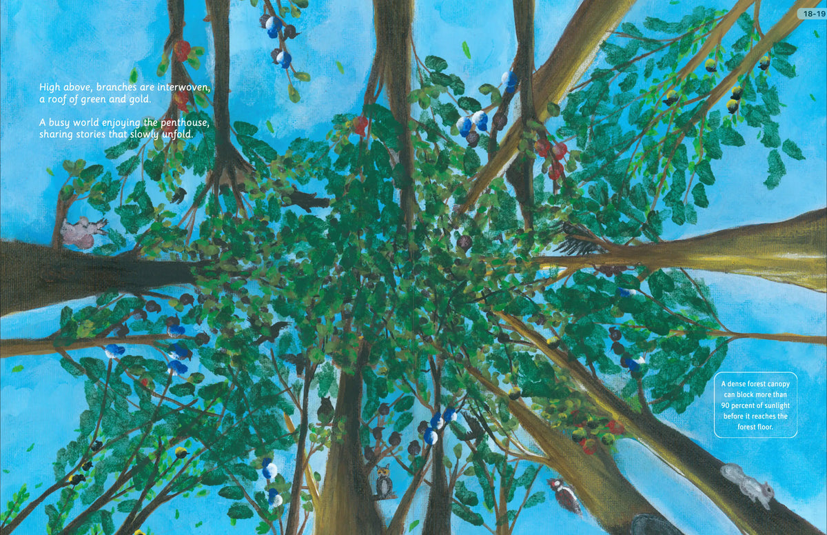 Illustrated woodland wildlife, bark, nurse log, birds, and forest-senses spread