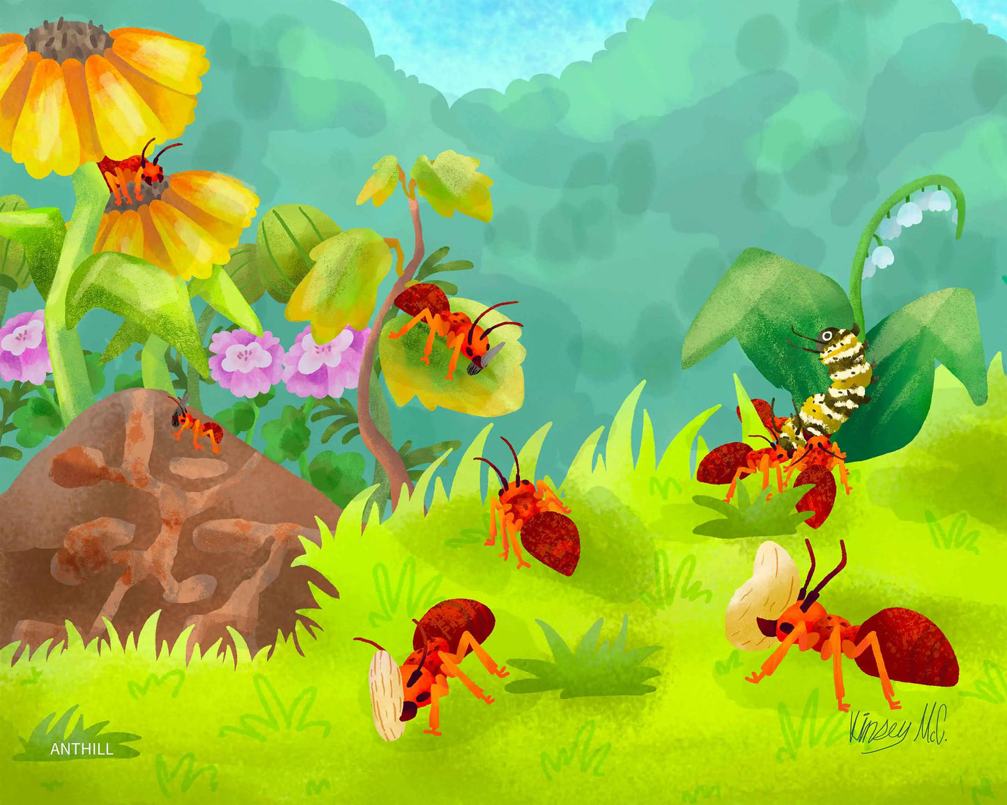 Can You Read An Anthill?
