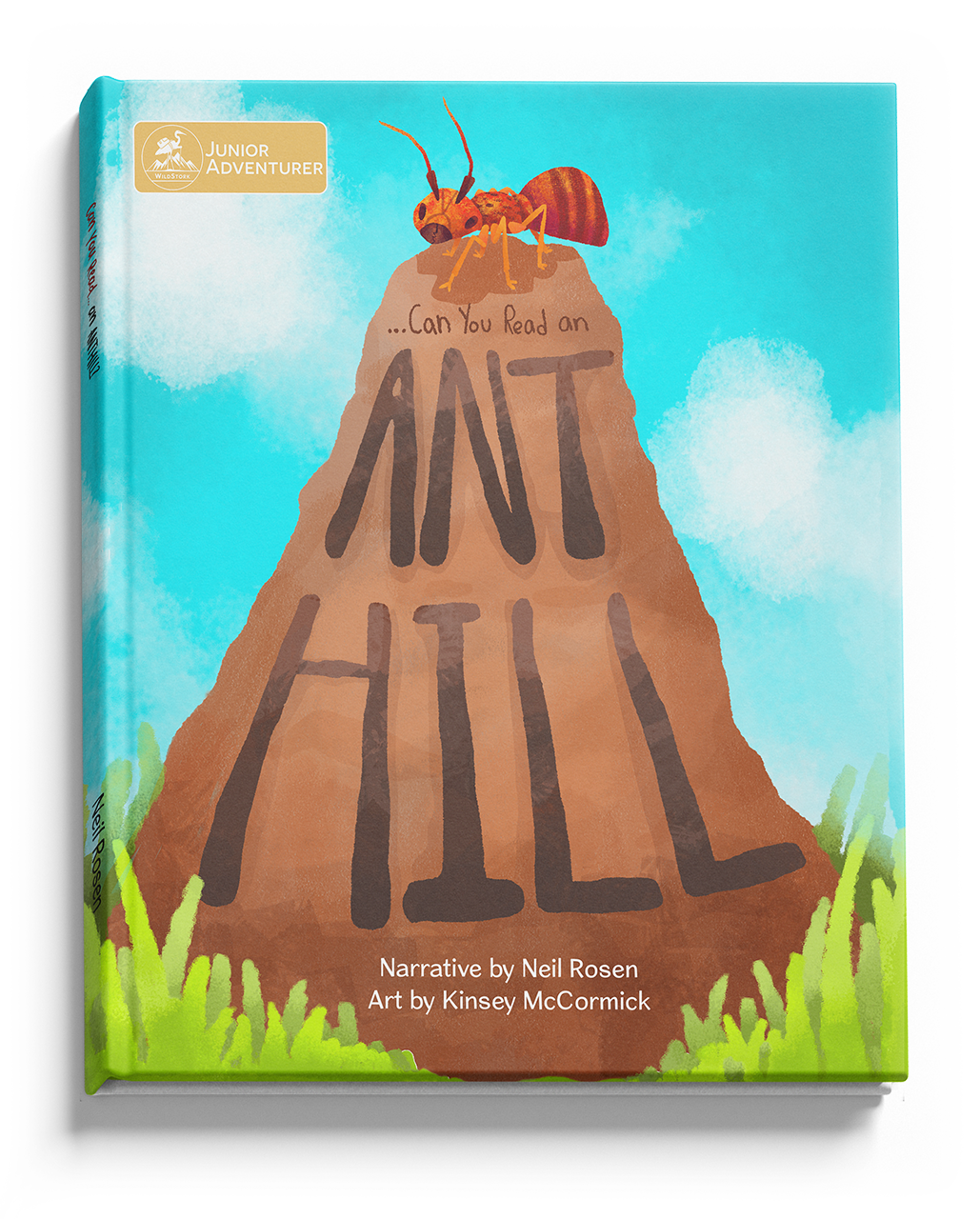 Can You Read An Anthill?