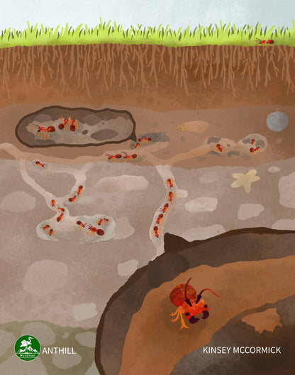 Anthills Print