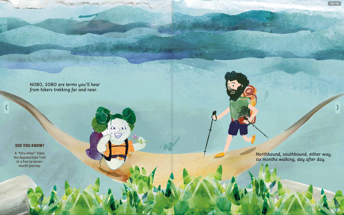 Illustrated Appalachian Trail mountain and forest spread