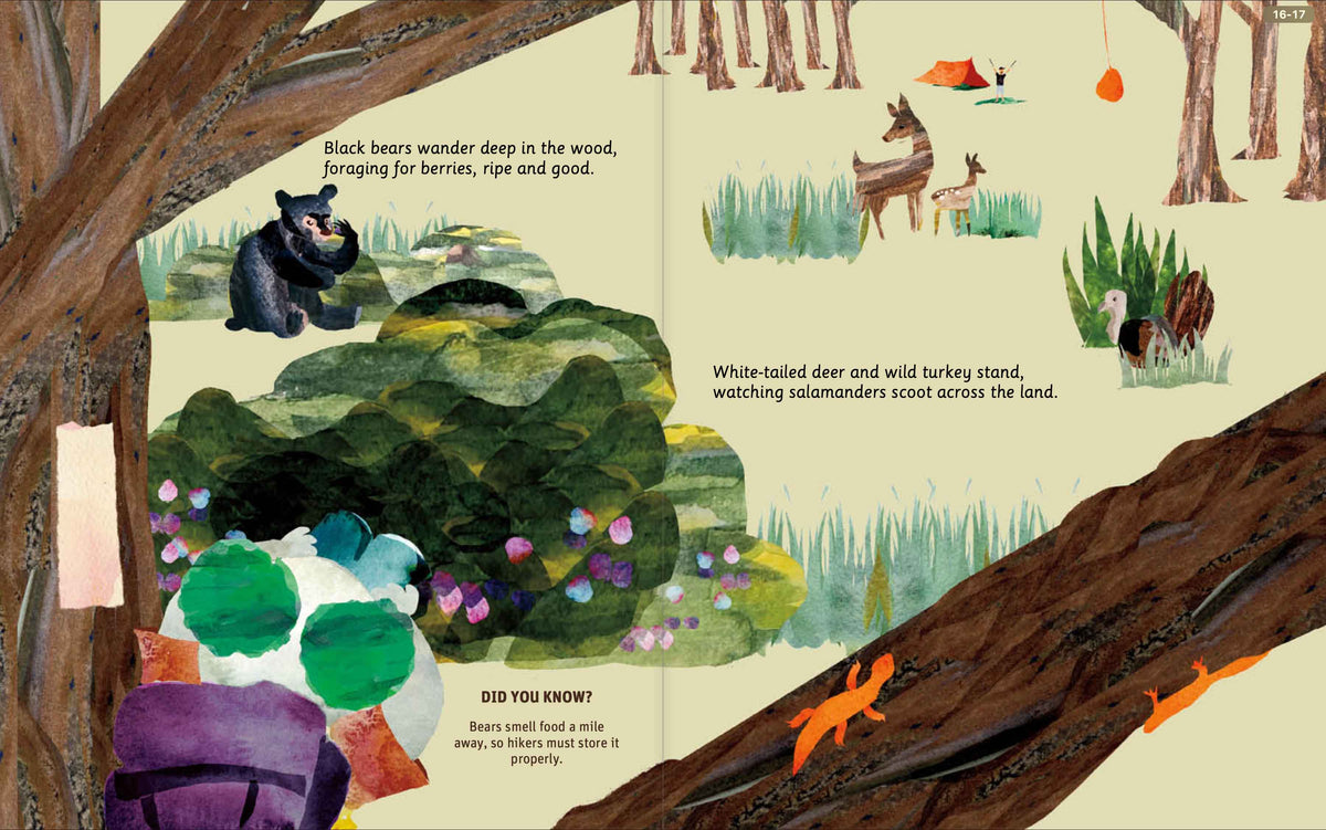 Illustrated Appalachian Trail wildlife and seasons spread