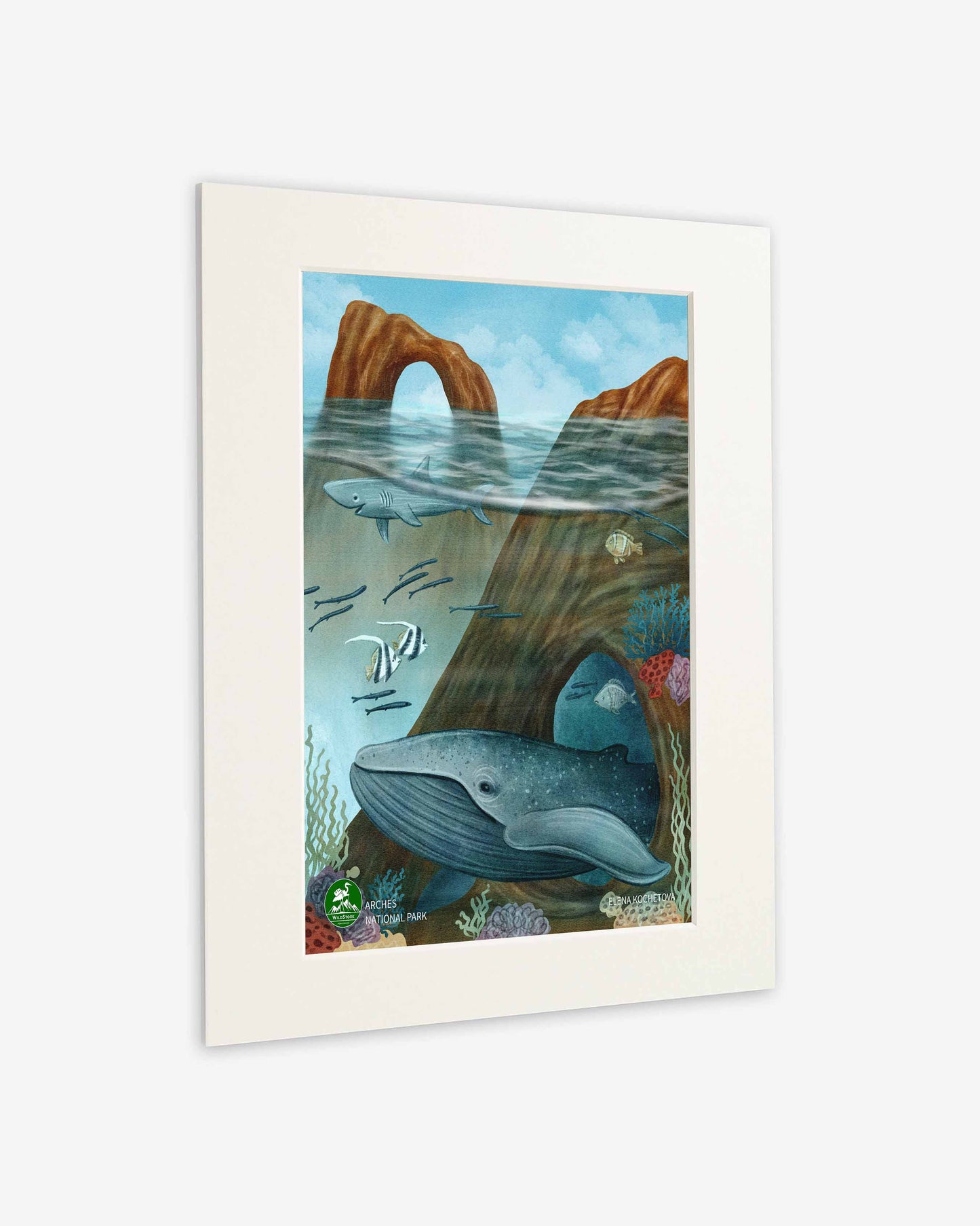 Arches National Park - Standard Art Print