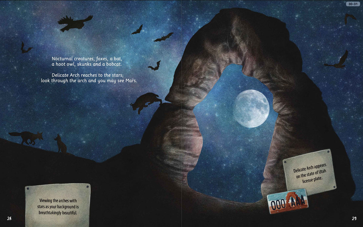 Illustrated Arches National Park desert wildlife and night-sky spread