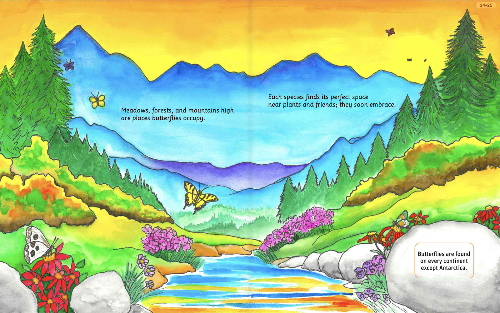 Illustrated butterfly life-cycle spread