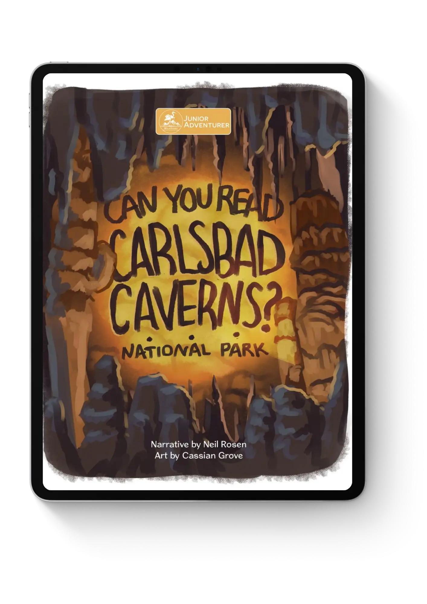 Can You Read Carlsbad Caverns National Park?