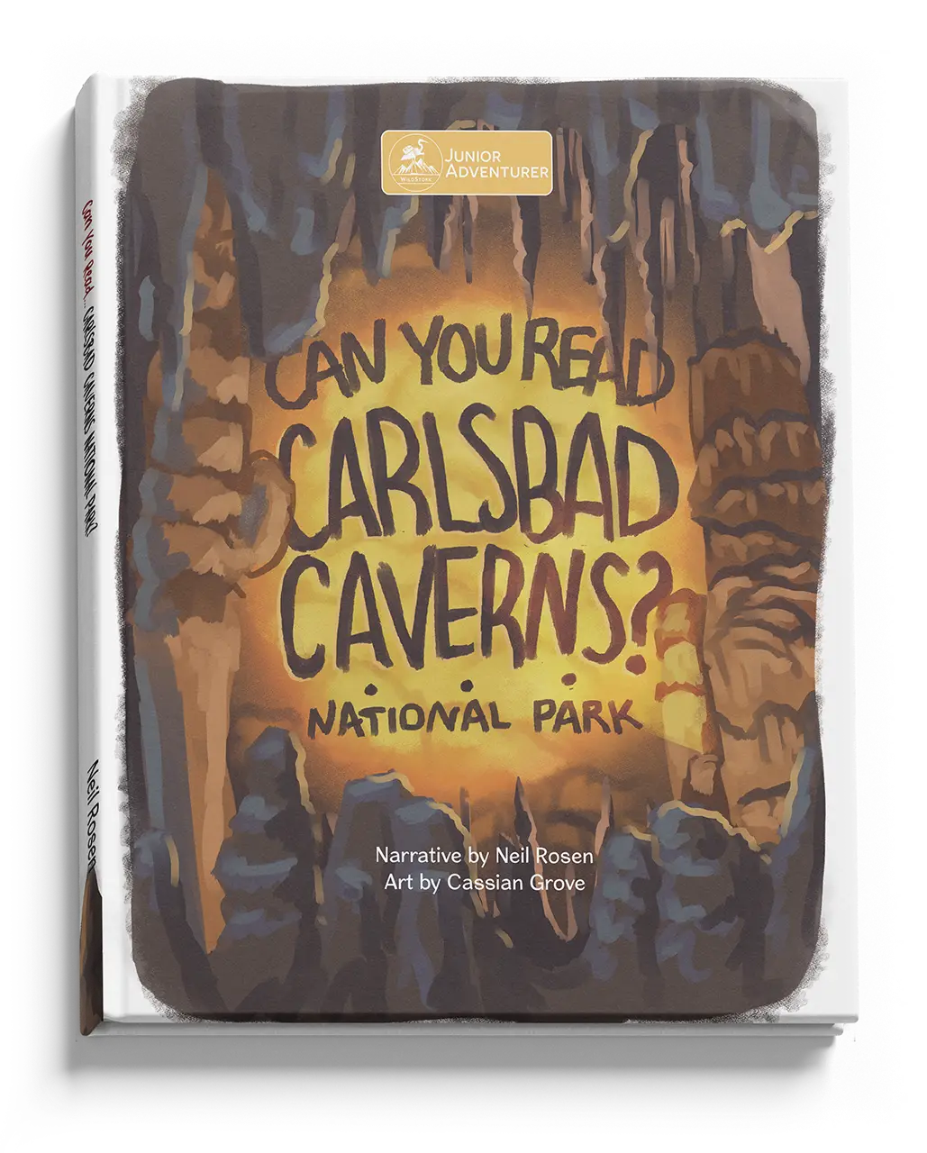 Can You Read Carlsbad Caverns National Park?