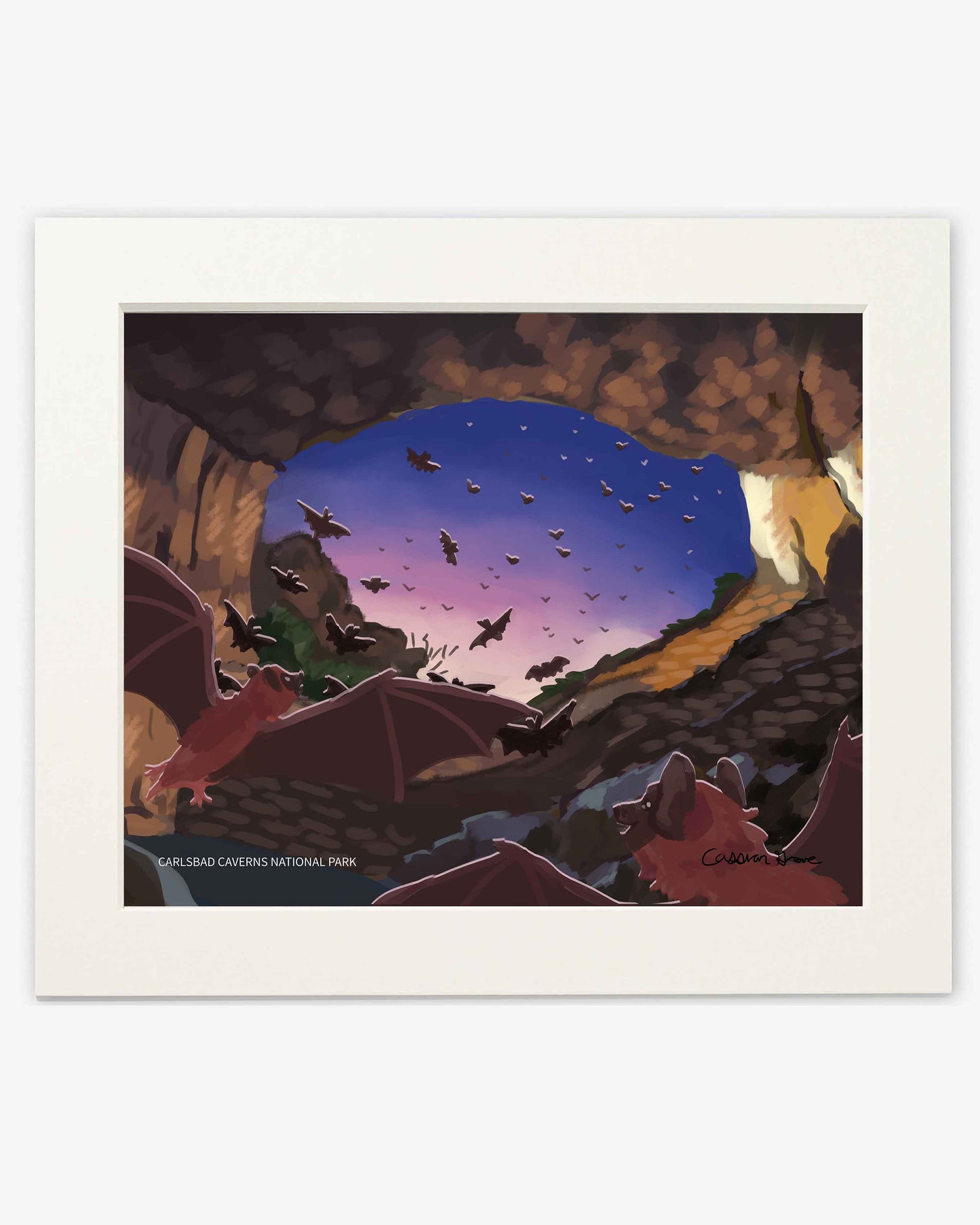 Carlsbad Caverns National Park Limited Edition Print