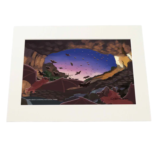 Carlsbad Caverns National Park Limited Edition Print