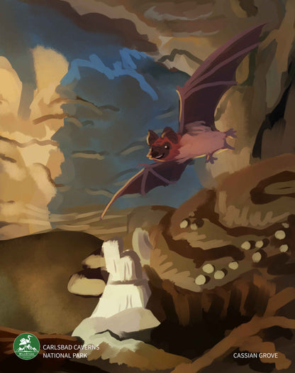 Carlsbad Caverns National Park Print