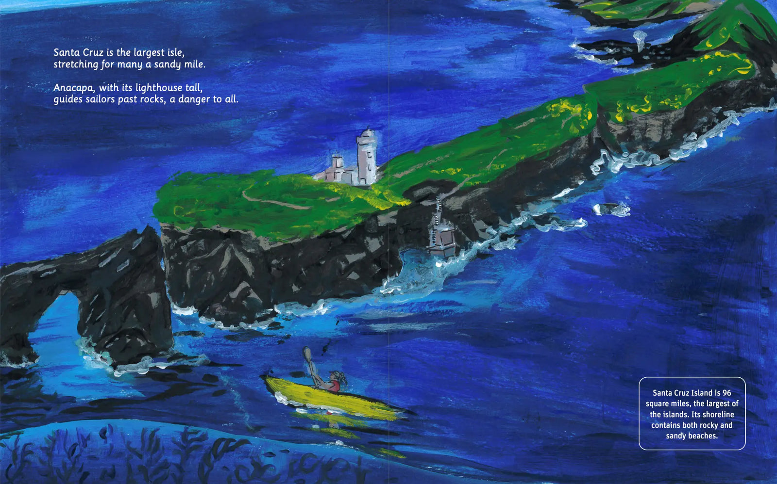 Illustrated Channel Islands National Park coastline spread