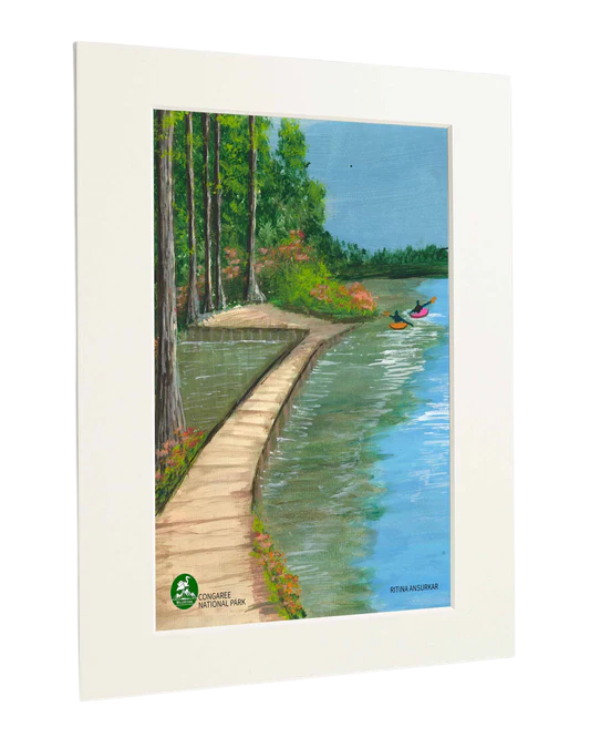 Congaree National Park - Standard Art Print