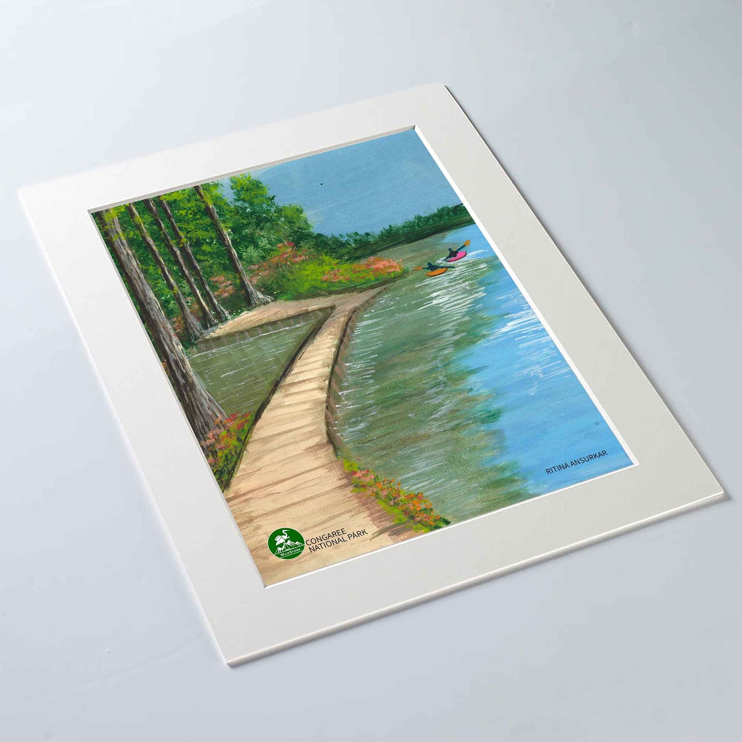 Congaree National Park - Standard Art Print