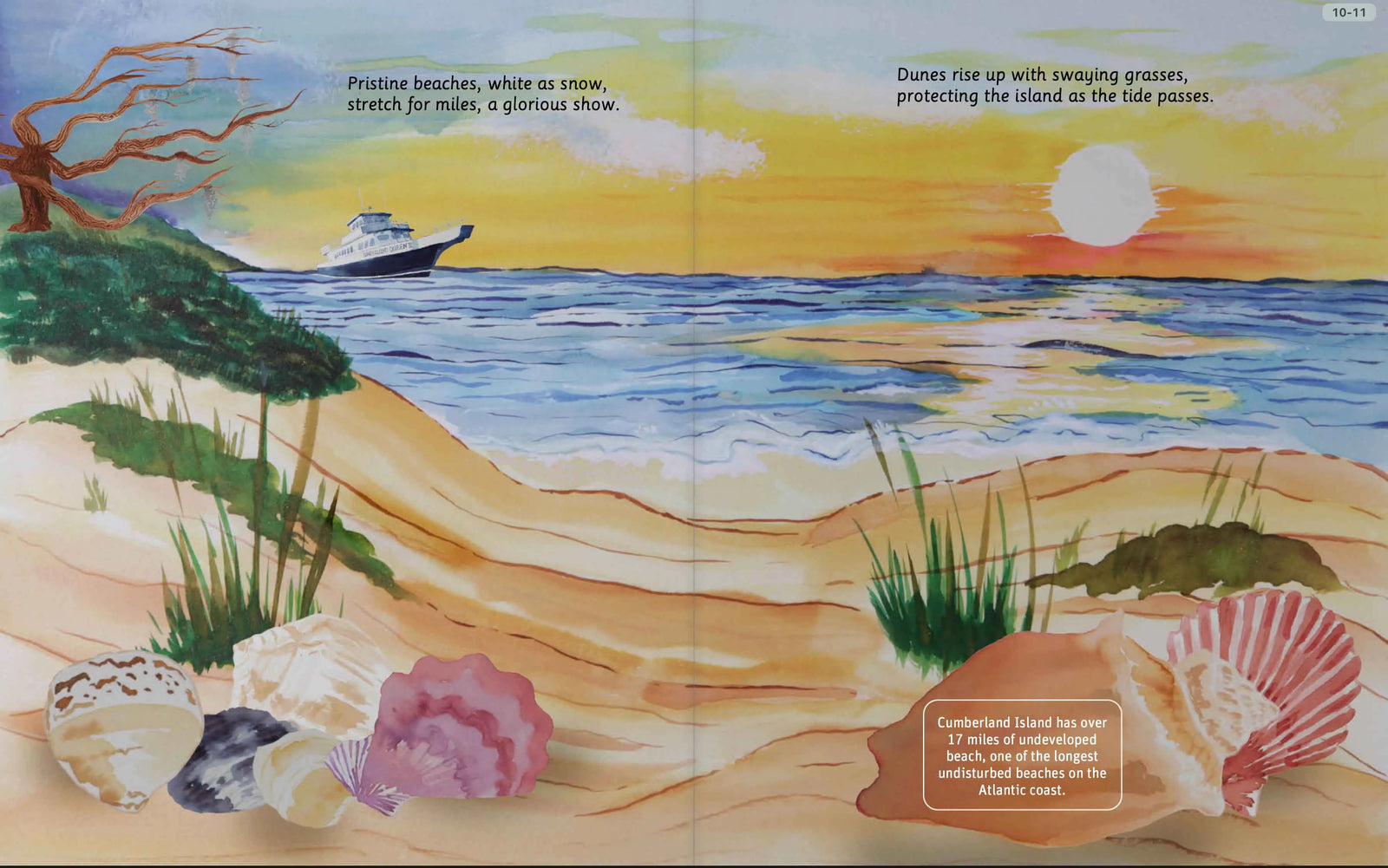 Illustrated Cumberland Island beach spread