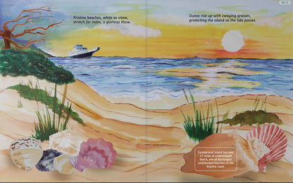 Can You Read Cumberland Island National Seashore?