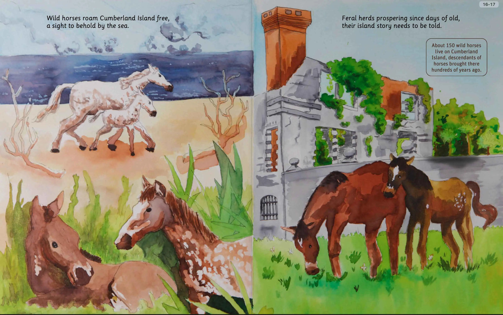 Illustrated Cumberland Island wildlife spread