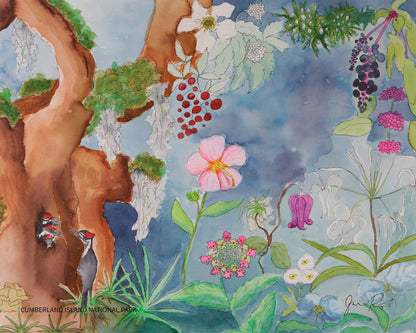 Cumberland Island National Seashore - Limited Edition Print