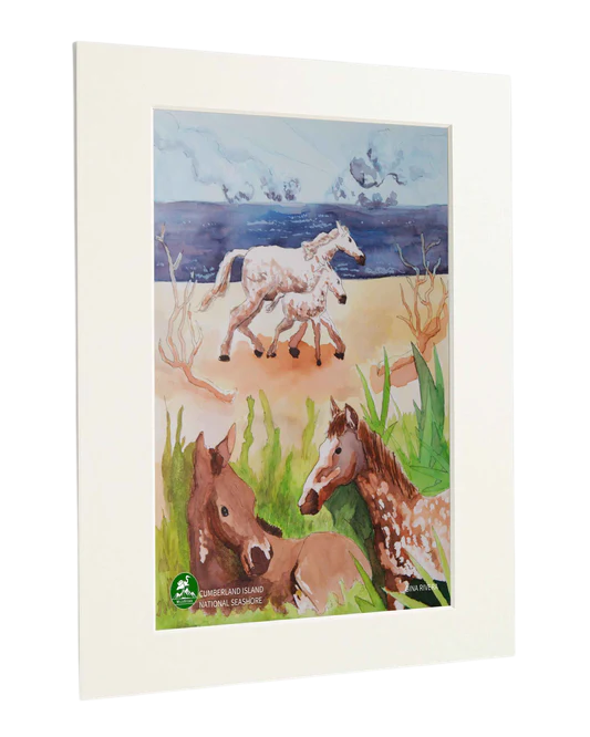 Cumberland Island National Seashore - Standard Art Print