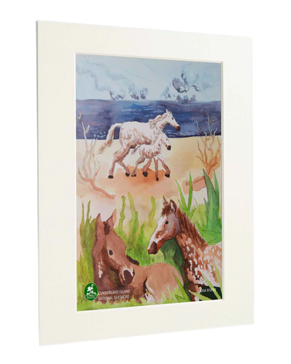 Cumberland Island National Seashore - Standard Art Print