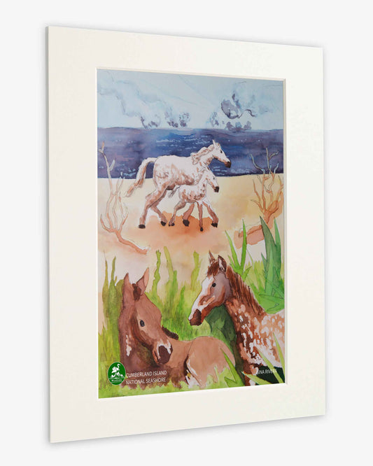 Cumberland Island National Seashore Art Print