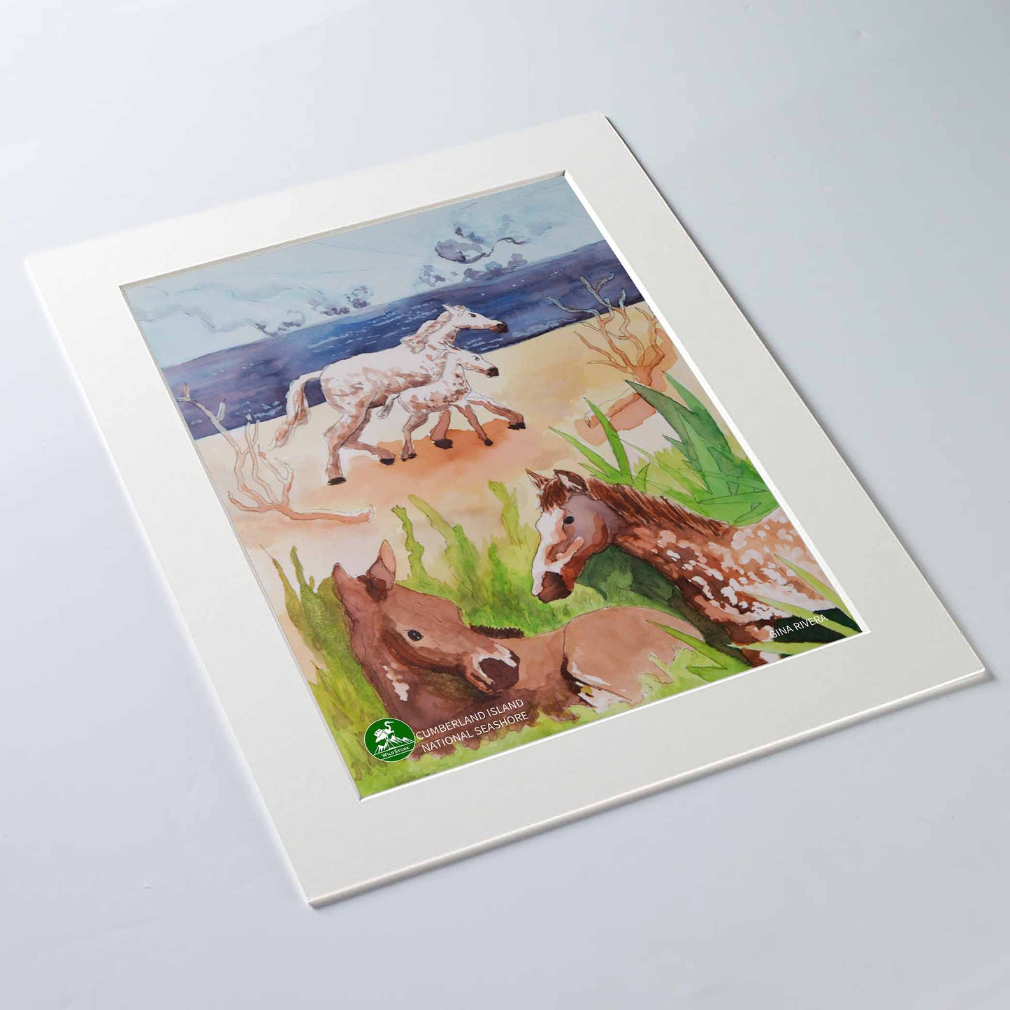 Cumberland Island National Seashore Art Print