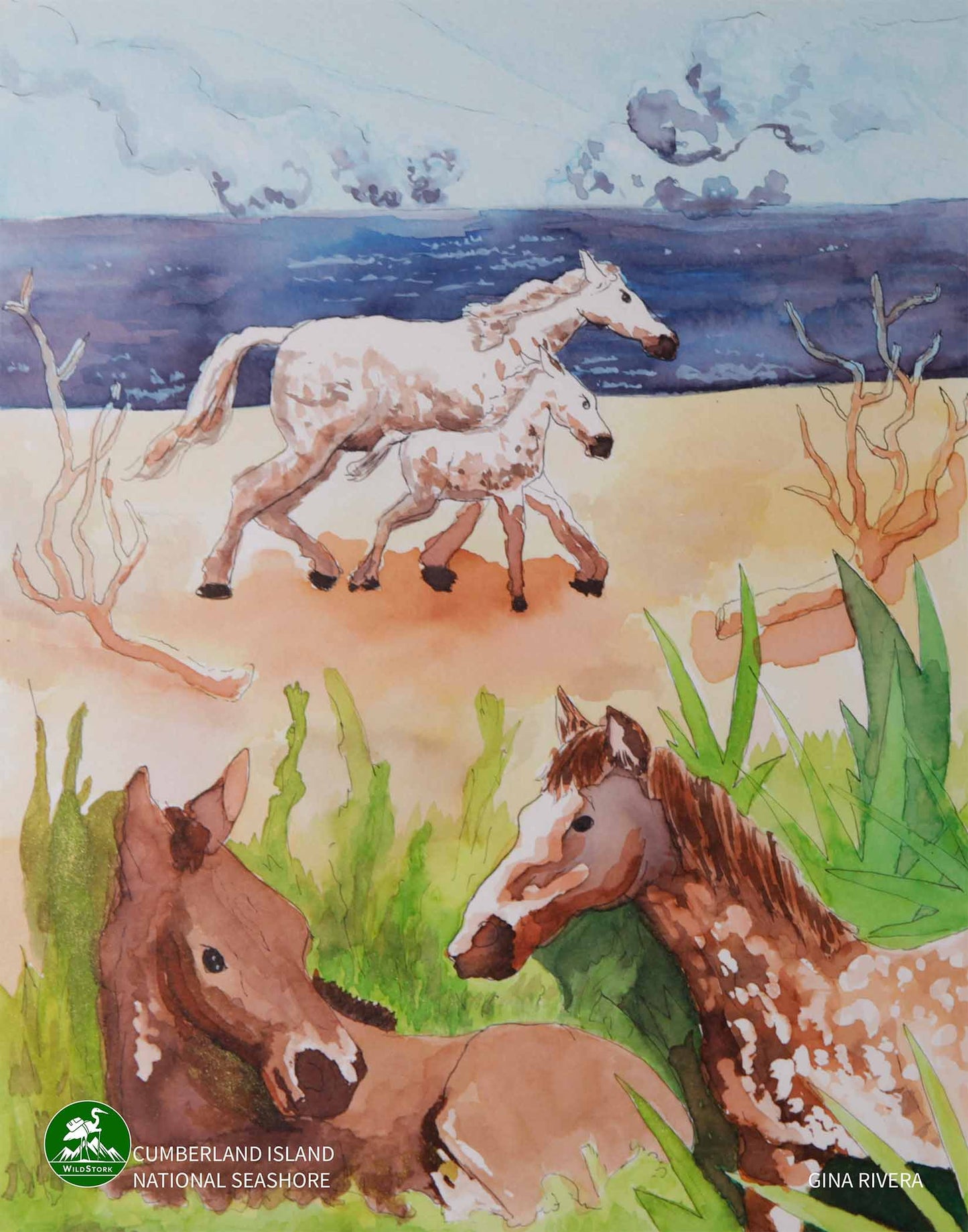 Cumberland Island National Seashore Art Print