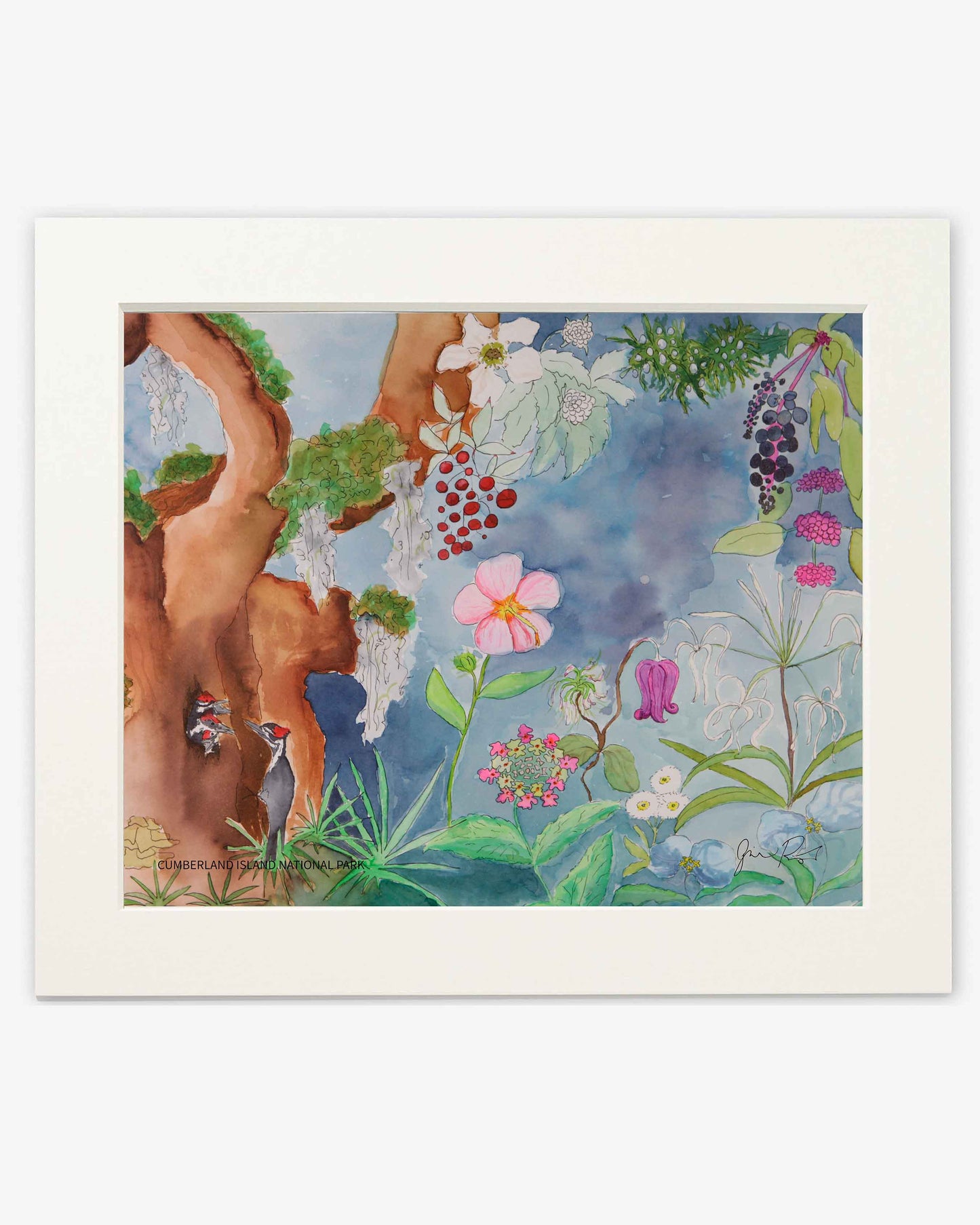 Cumberland Island National Seashore - Limited Edition Print