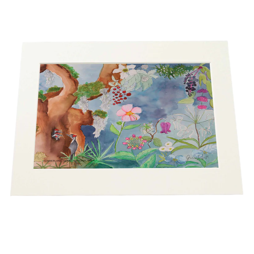 Cumberland Island National Seashore - Limited Edition Print