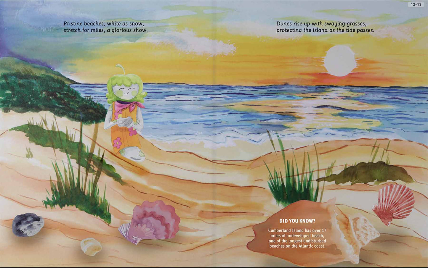 Can You Read Cumberland Island National Seahore?