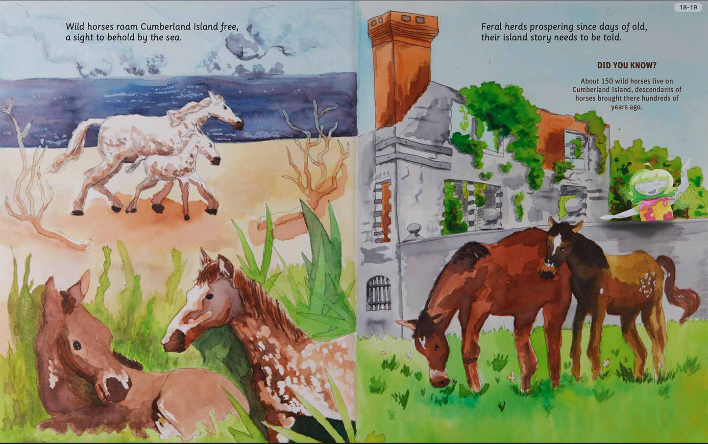 Can You Read Cumberland Island National Seahore?