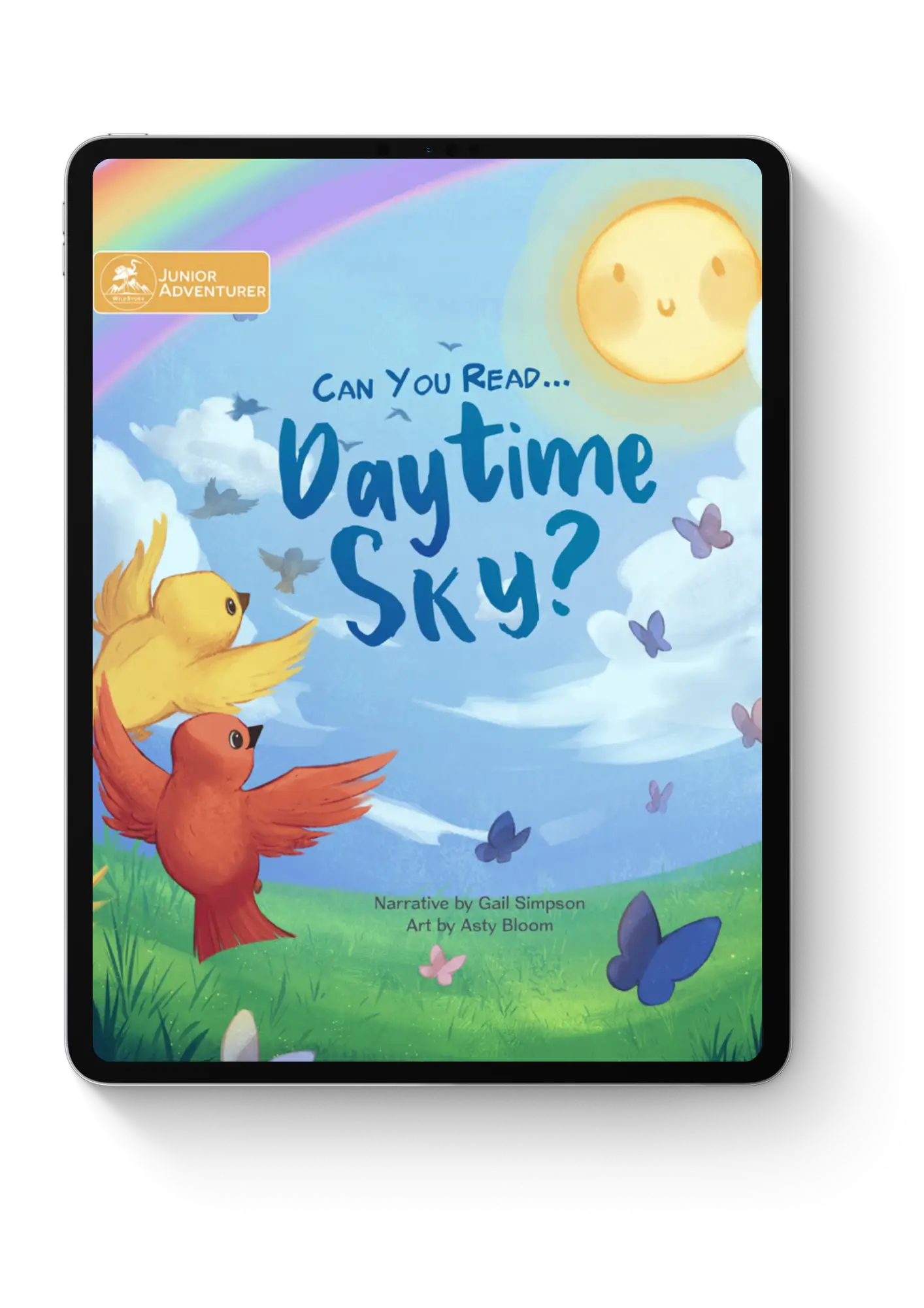 Can You Read Daytime Sky?