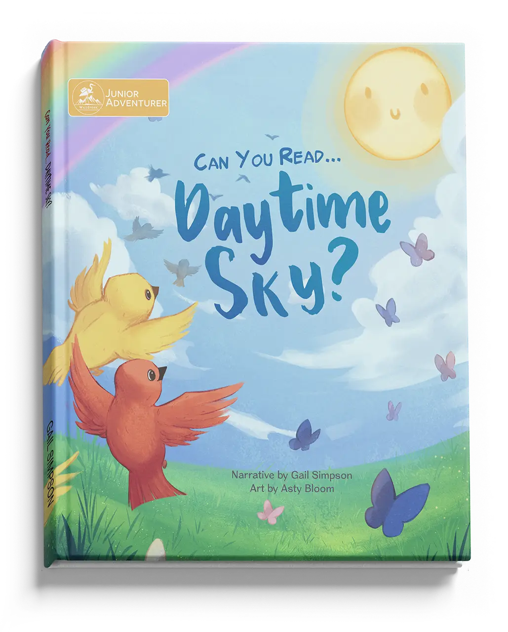 Can You Read Daytime Sky?