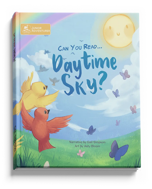 Can You Read Daytime Sky? hardcover