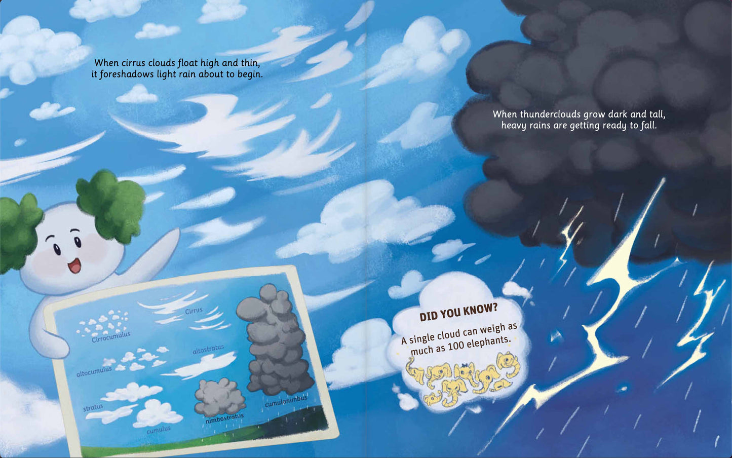 Can You Read Daytime Sky?