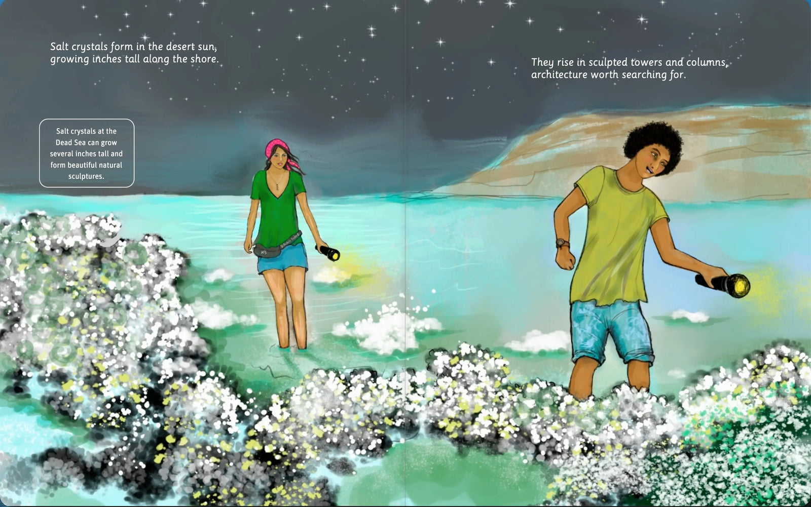 Illustrated Dead Sea wildlife spread